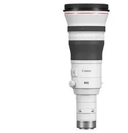 Canon RF800mm F5.6 L IS USM Lens