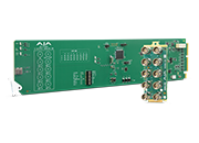 AJA OG-C10DA openGear 1x9 Analog Composite Distribution Amplifier product image