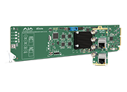 AJA OG-DANTE-12GAM product image
