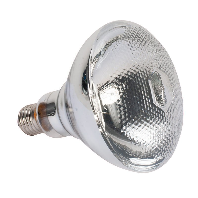 AmericanDJ LL-PAR 38 150W Replacement Lamp for PAR-38BL