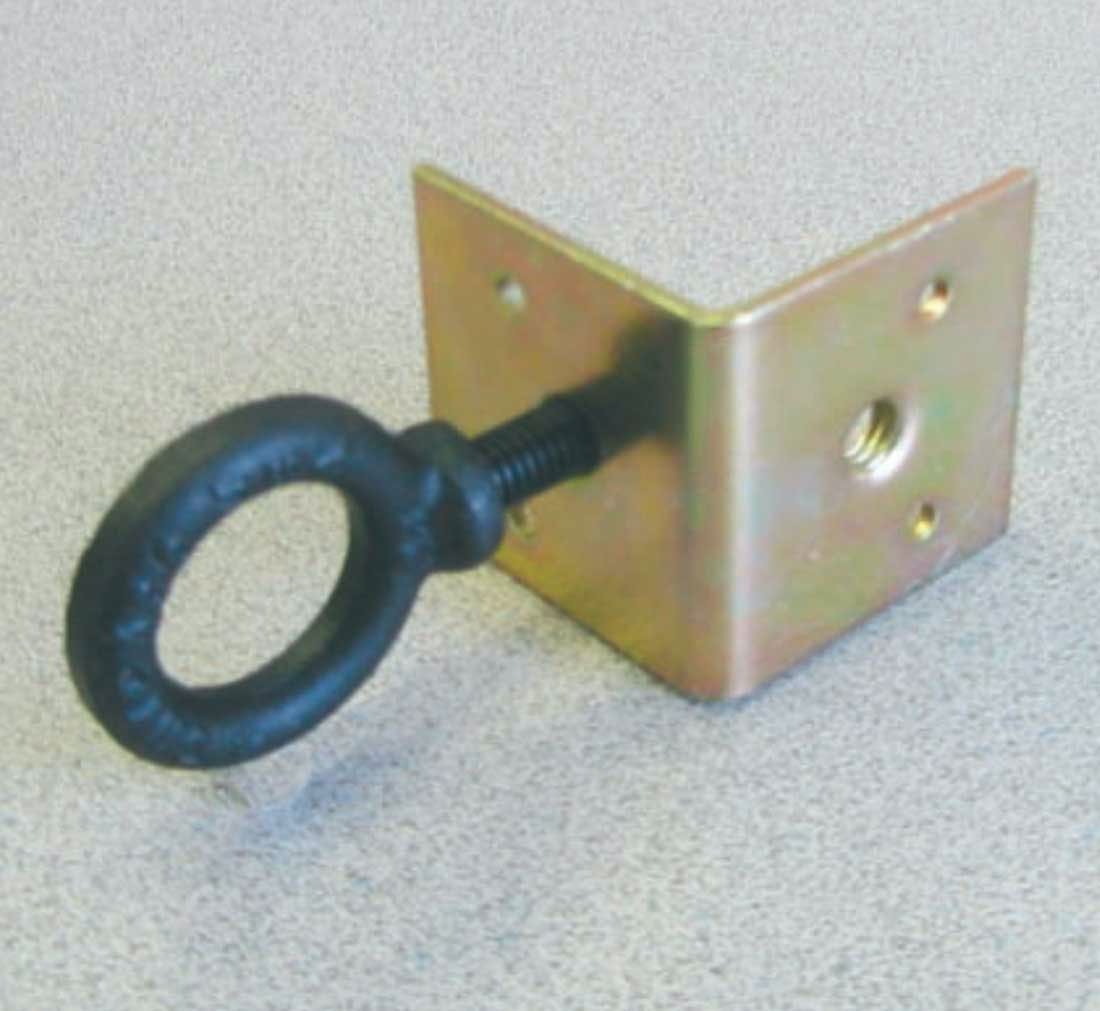 Adaptive Technologies Drop-Forged Eyebolt & Eyenut