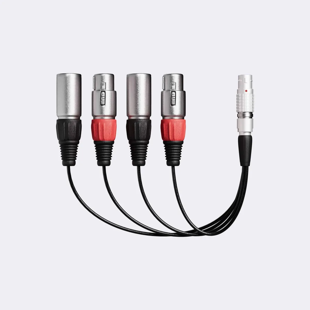 Atomos XLR Breakout Cable for Shogun 7/Classic - view 2