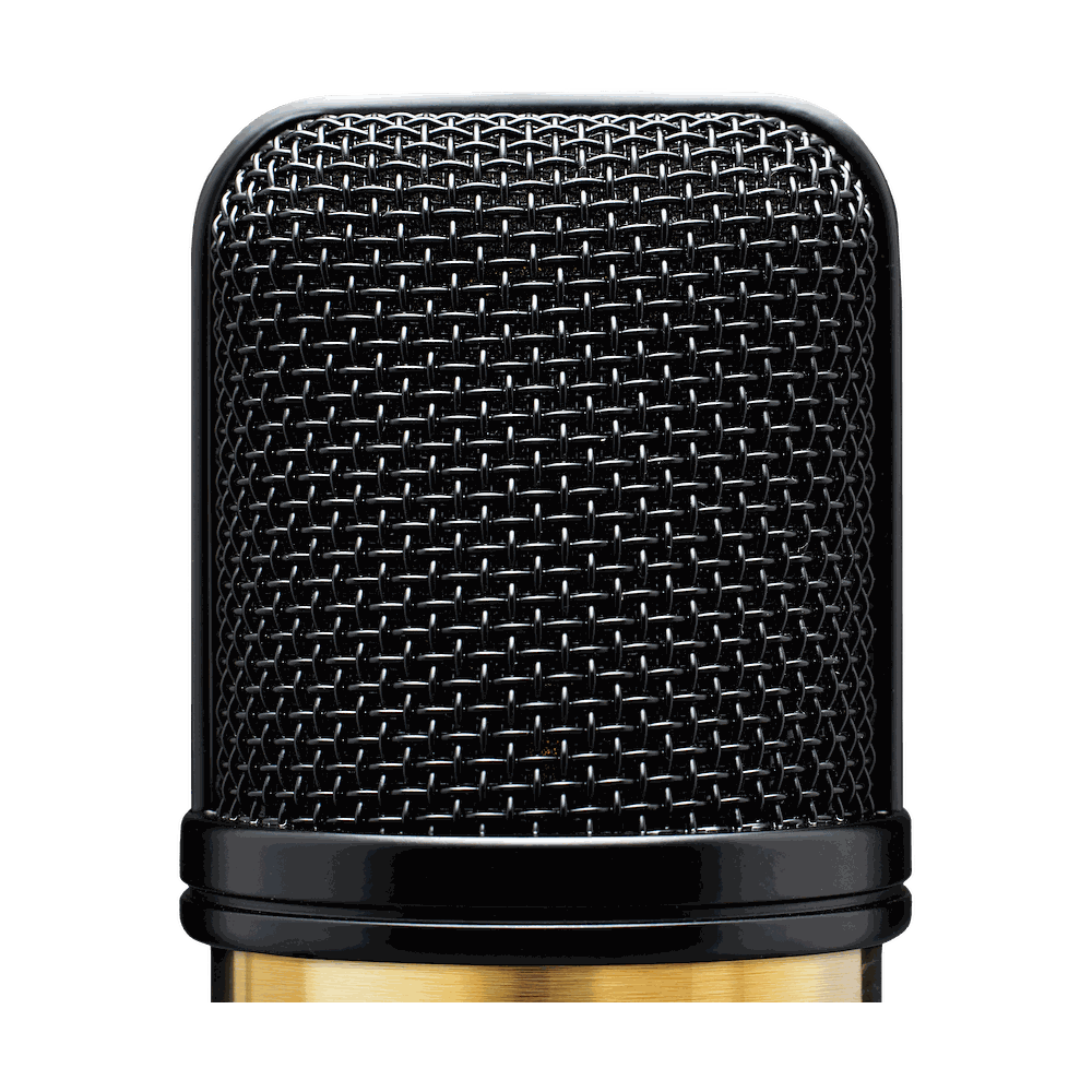 Audix A231 Large Diaphragm True Condenser Microphone - view 3