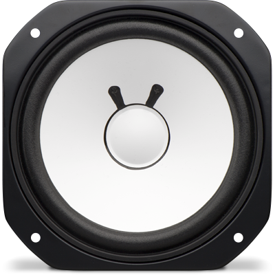 Avantone Pro AV10 MLF Replacement Woofer Low-Frequency Driver (woofer) - view 2