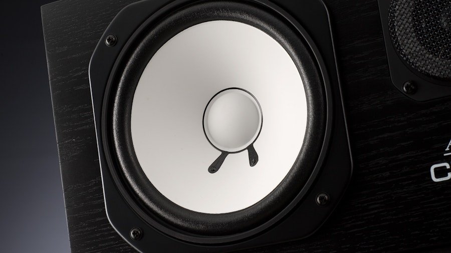 Avantone Pro AV10 MLF Replacement Woofer Low-Frequency Driver (woofer) product image