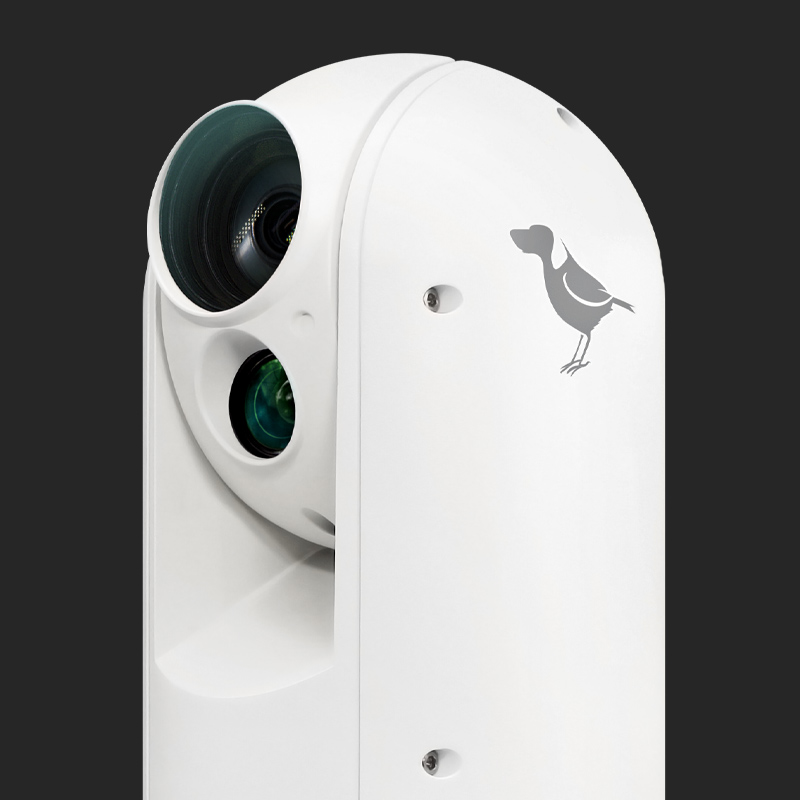 BirdDog A300 Gen 2 Weatherproof Full NDI 30x PTZ Camera