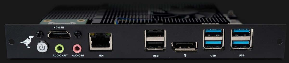 BirdDog SDM M1 NDI Display Module