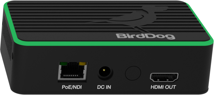 BirdDog Flex 4K OUT product image