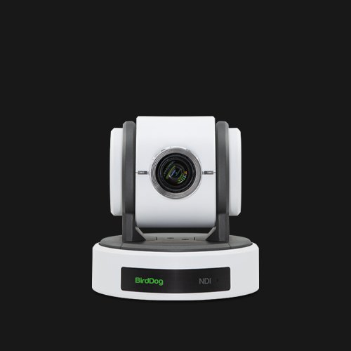 BirdDog P100 White An entry-level Full NDI PTZ camera with 10x optical zoom - view 3