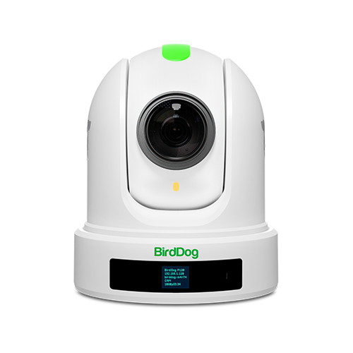 BirdDog P120 20x Full NDI PTZ Camera (White) - view 3