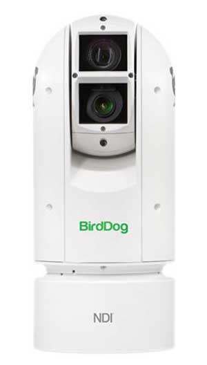 BirdDog BDA300 PTZ Camera