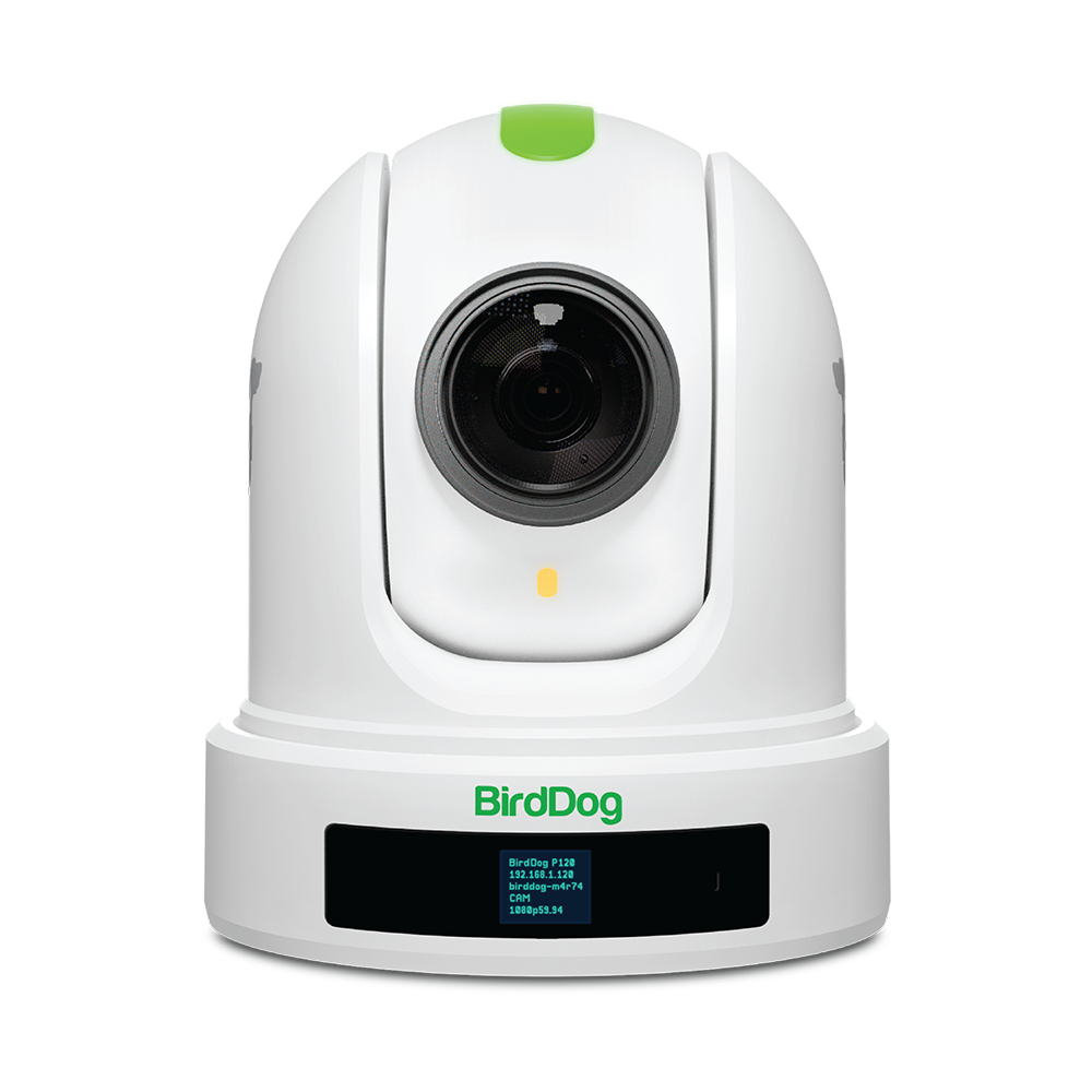 BirdDog P120 20x Full NDI PTZ Camera (White)