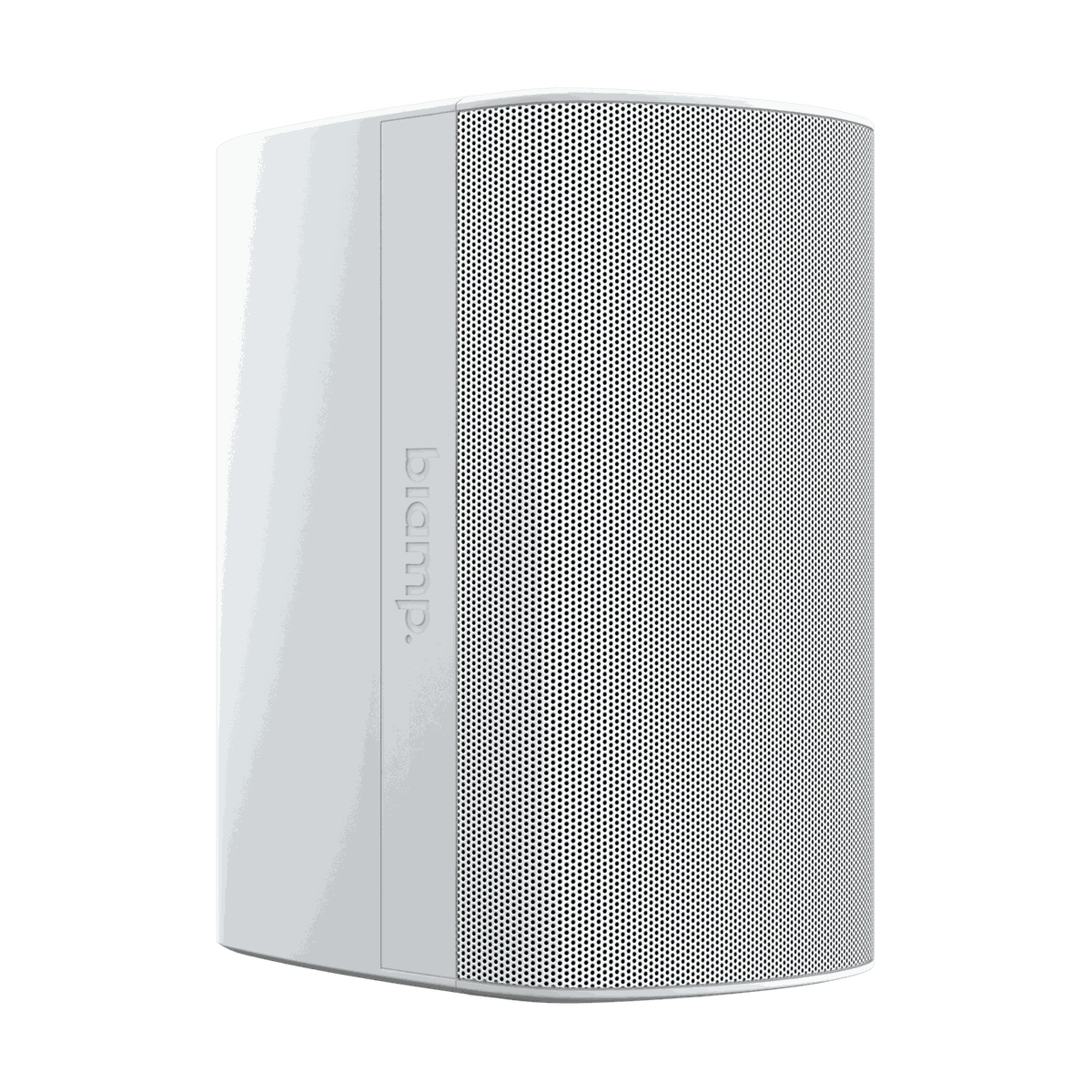Biamp Desono DX-S8-W Surface-Mount Loudspeaker