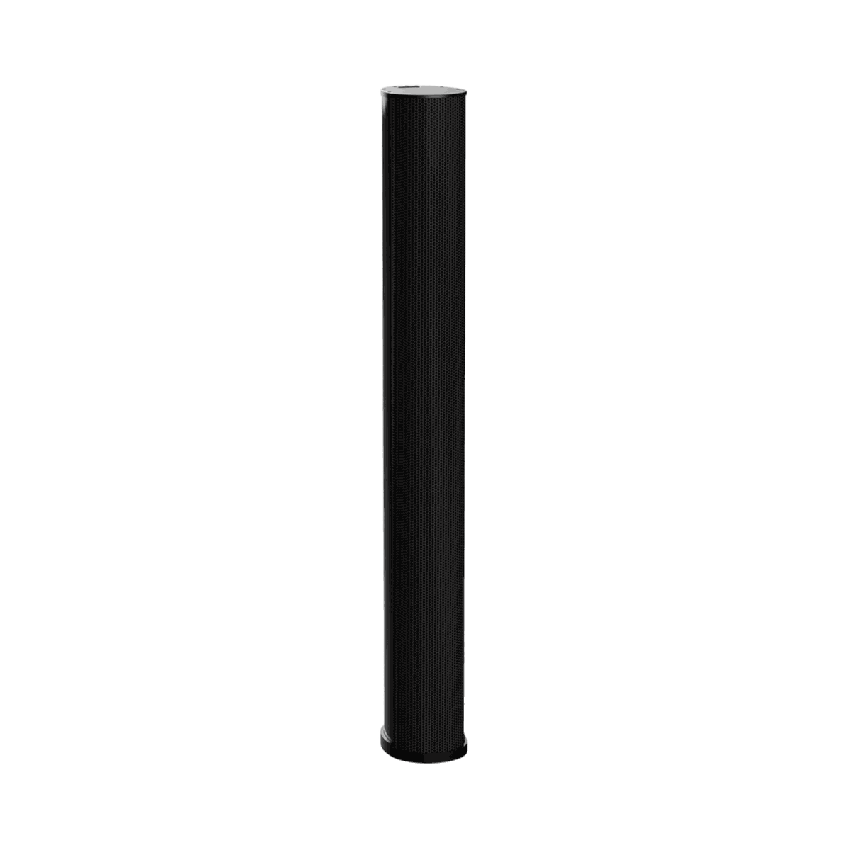 Biamp Desono ENT-LF Column Loudspeaker