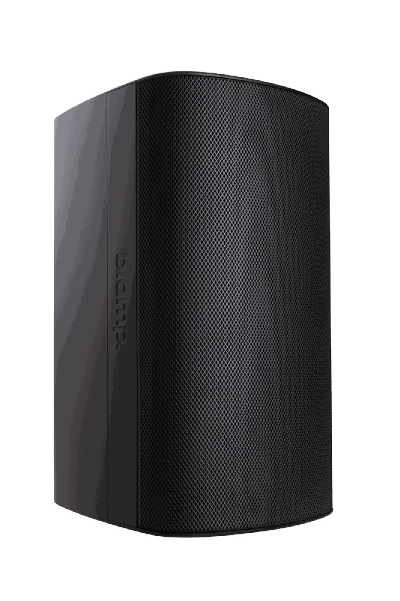 Biamp Desono EX-S10SUB-CM Subwoofer