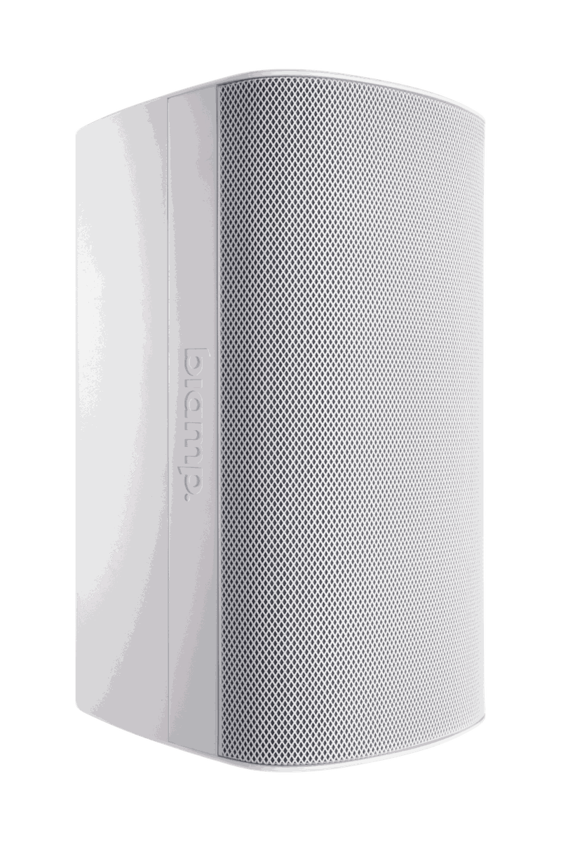 Biamp Desono EX-S10SUB-CM Subwoofer - view 2