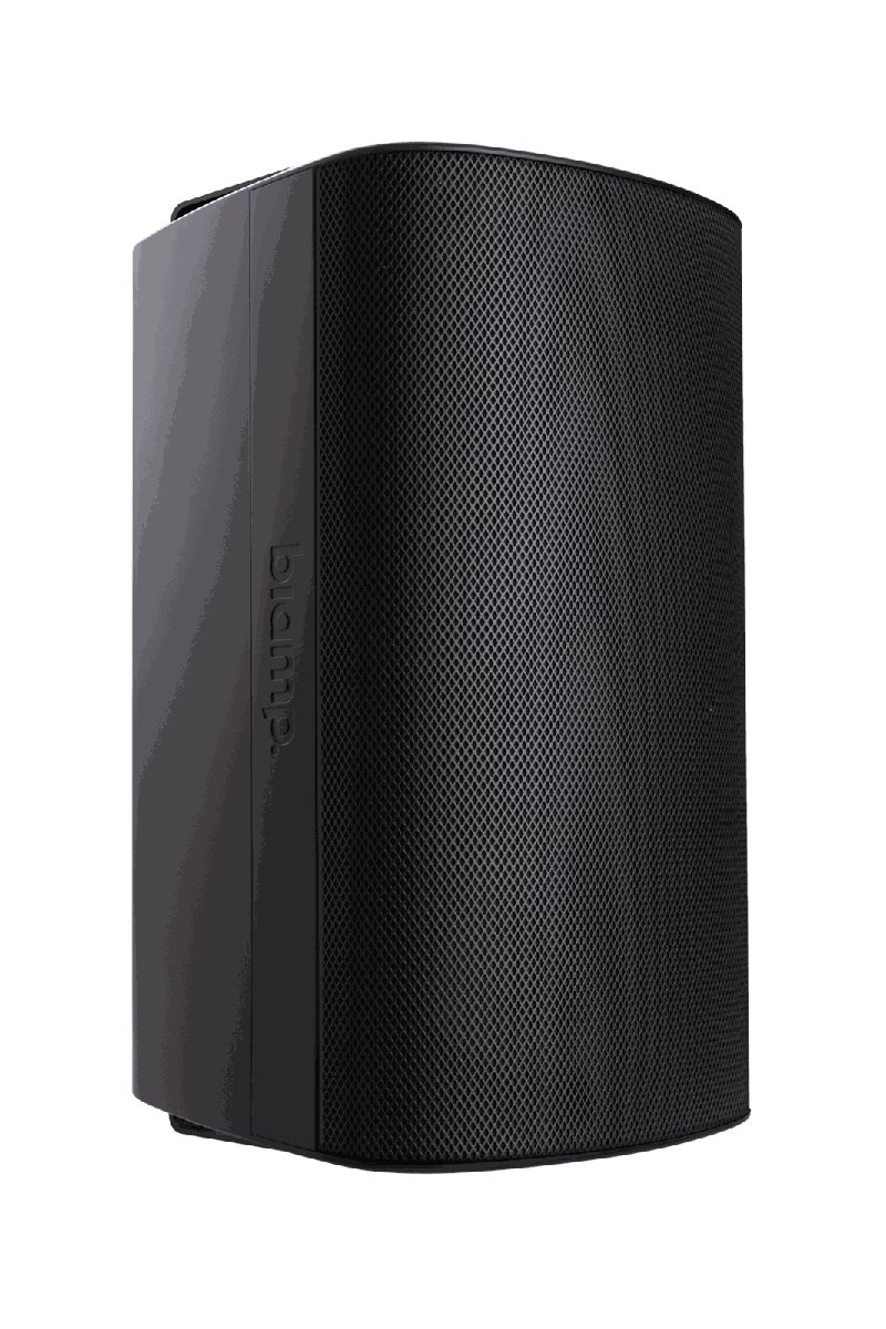 Biamp Desono EX-S10SUB-UB Subwoofer