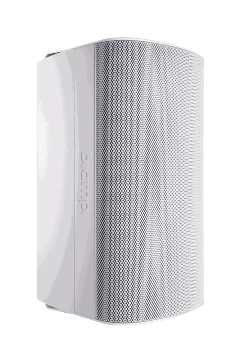 Biamp Desono EX-S10SUB-UB Subwoofer - view 2