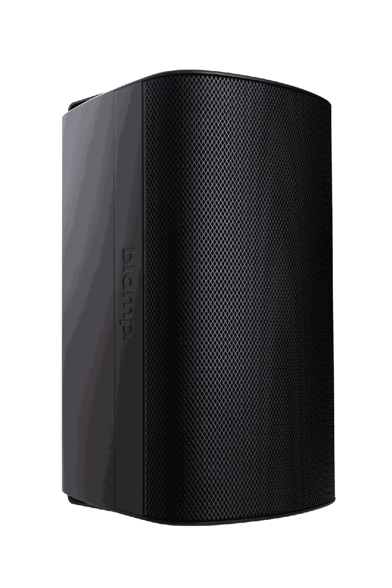 Biamp Desono EX-S8-UB Surface-Mount Loudspeaker