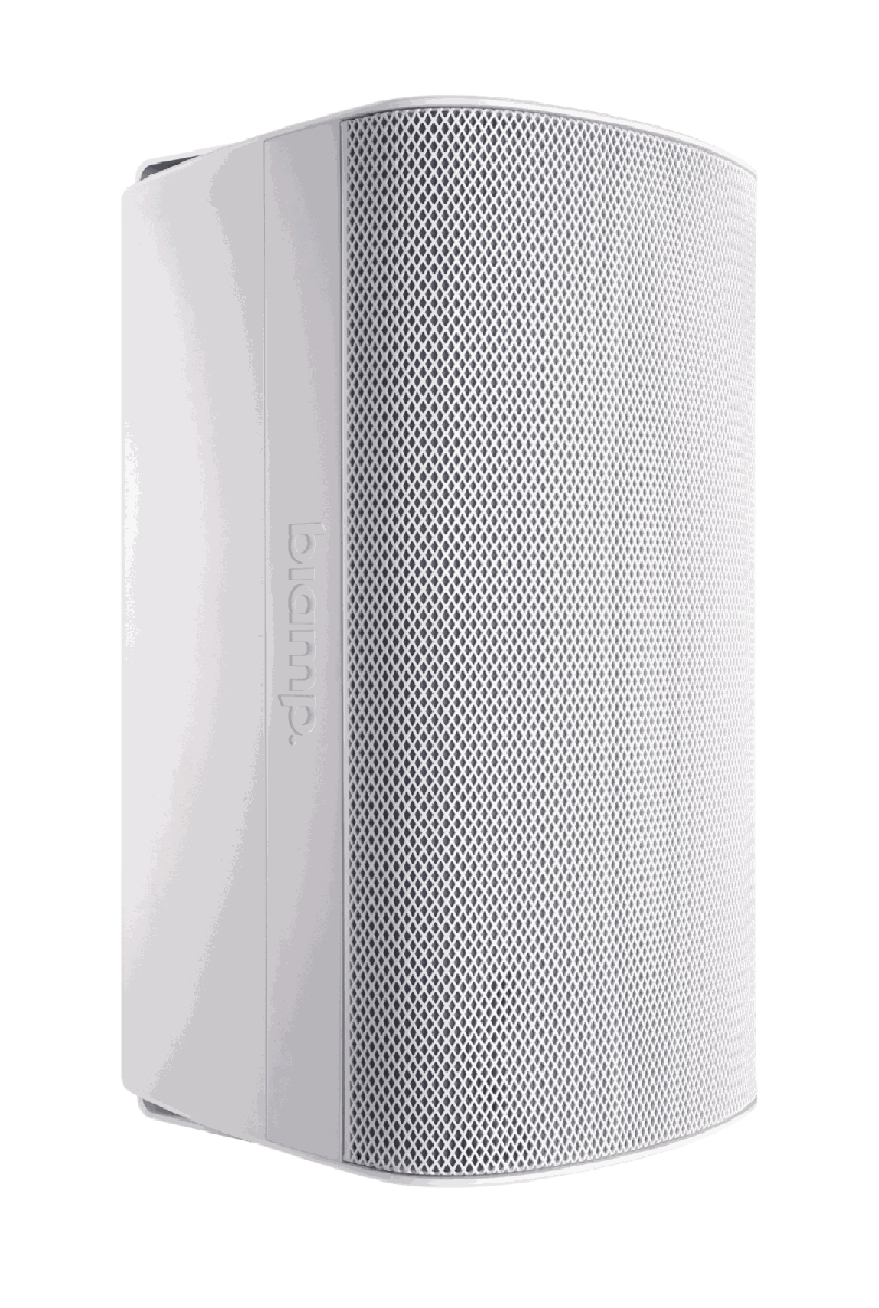 Biamp Desono EX-S8-UB Surface-Mount Loudspeaker - view 2