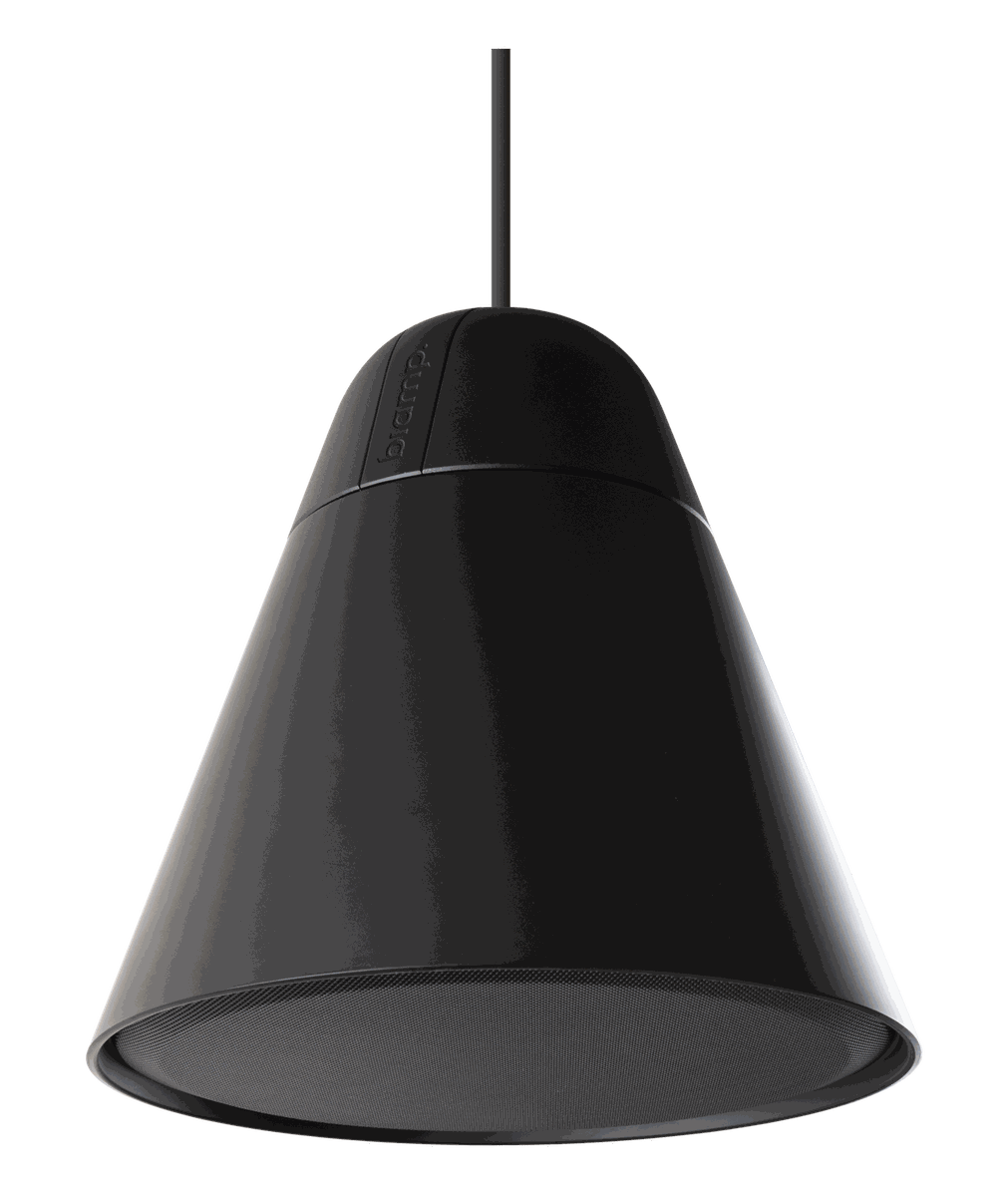 Biamp Desono P30DT Pendant Loudspeaker