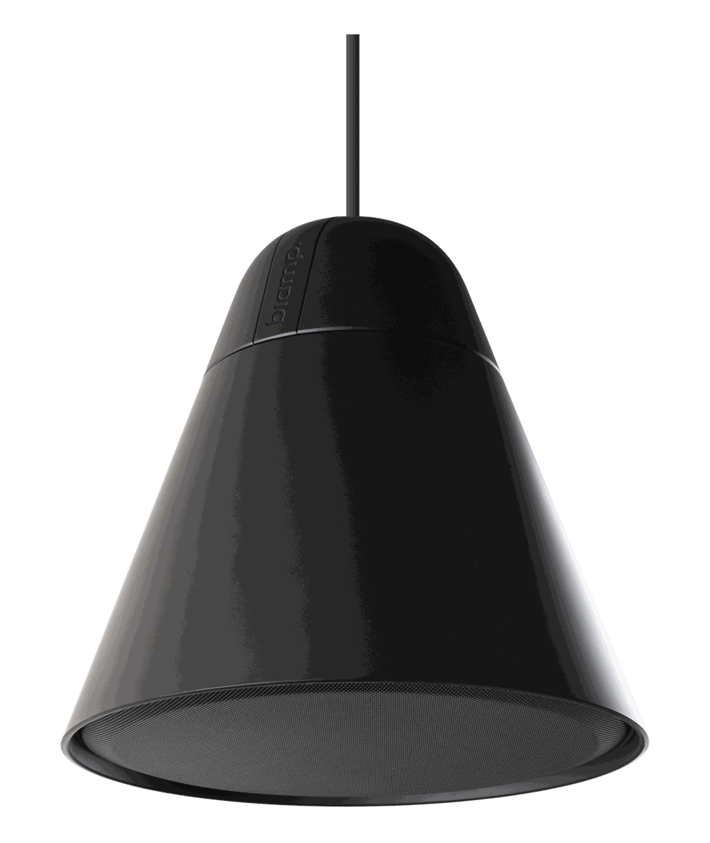 Biamp Desono P60DT Pendant Loudspeaker product image