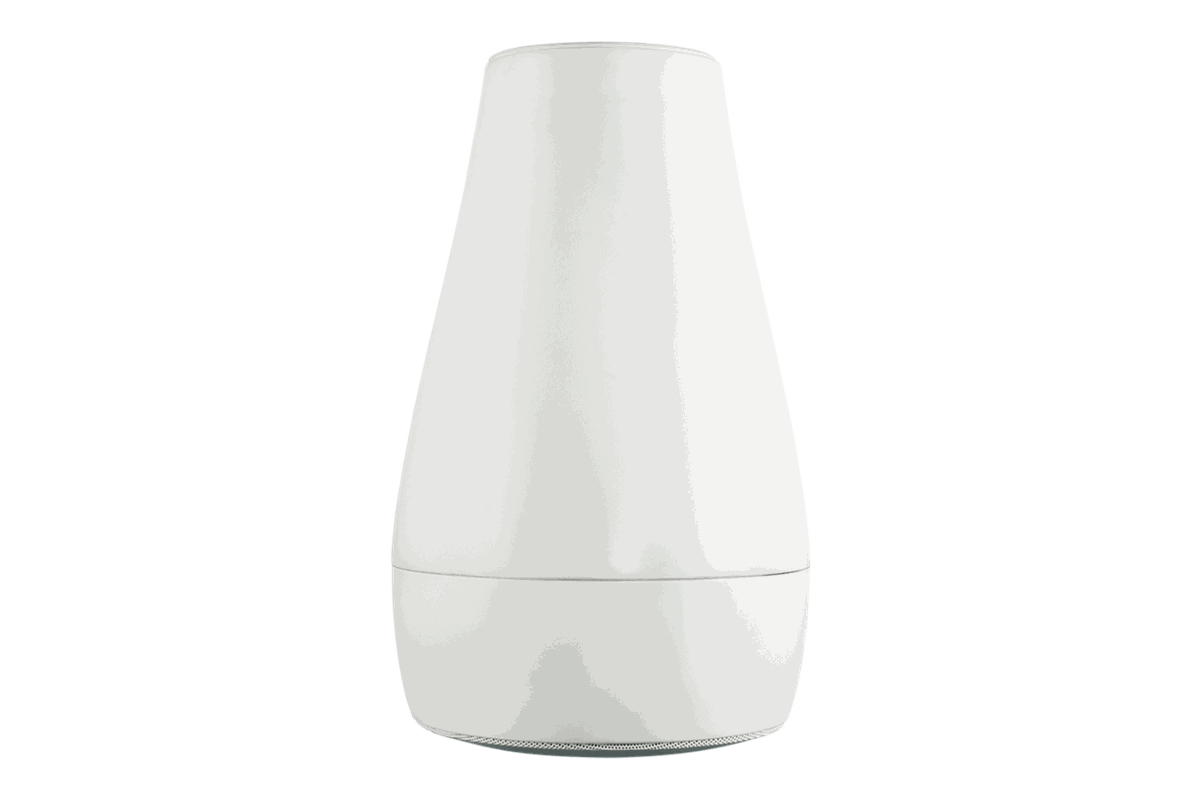 Biamp Desono P6 Pendant Loudspeaker - view 2