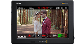 Blackmagic Video Assist