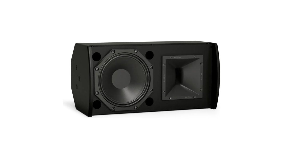 Bose Professional Bose ArenaMatch AMU108-120 Compact High-performance Loudspeaker - view 4