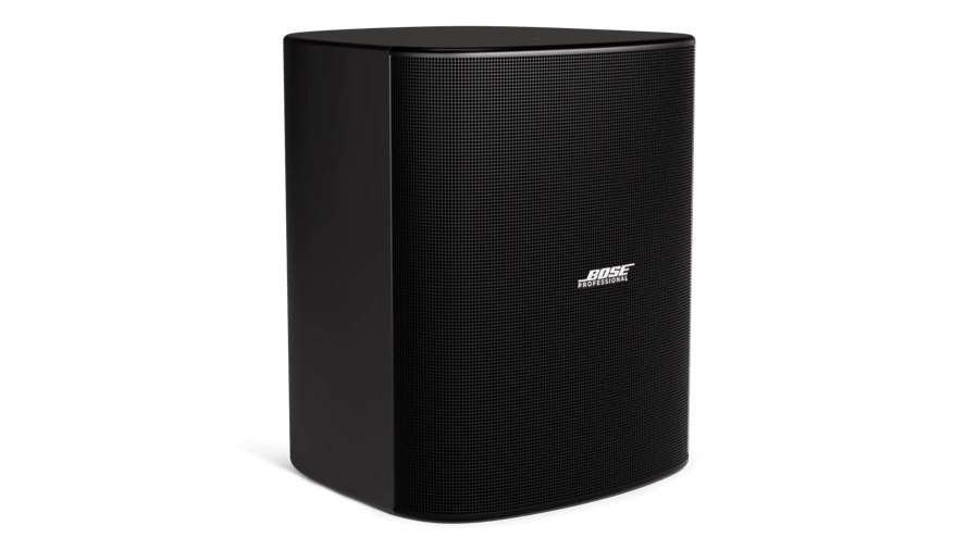 Bose Professional Bose DesignMax DM12SE 12-Inch Coaxial Surface-Mount Loudspeaker product image