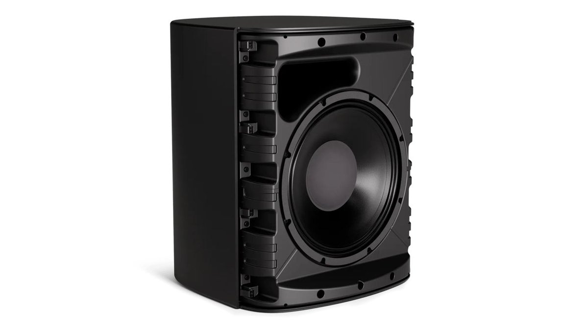 Bose Professional Bose DesignMax DM12SE 12-Inch Coaxial Surface-Mount Loudspeaker - view 2