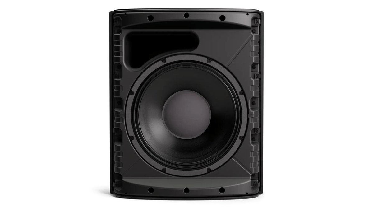 Bose Professional Bose DesignMax DM12SE 12-Inch Coaxial Surface-Mount Loudspeaker - view 3