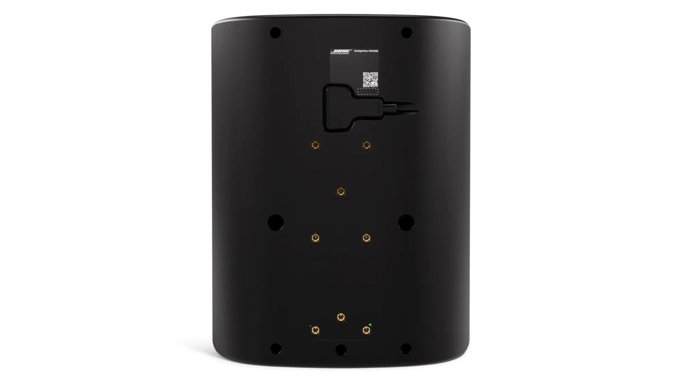 Bose Professional Bose DesignMax DM12SE 12-Inch Coaxial Surface-Mount Loudspeaker - view 5
