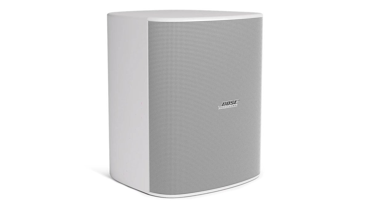 Bose Professional Bose DesignMax DM12SE 12-Inch Coaxial Surface-Mount Loudspeaker - view 8