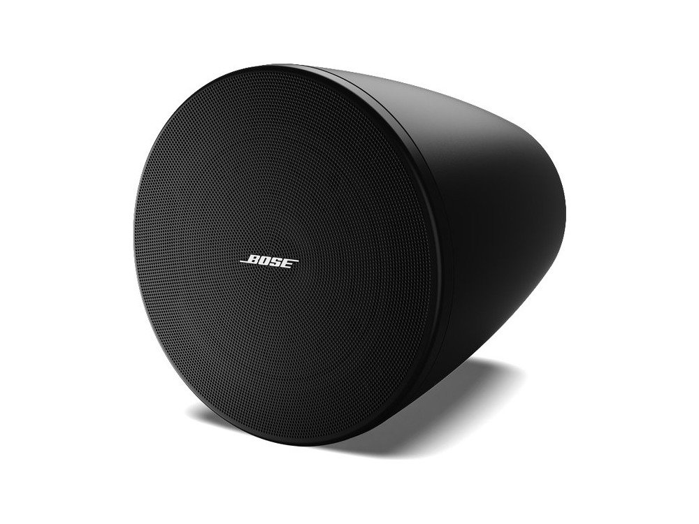 Bose Professional Bose DesignMax DM5P Loudspeakers (Pair)