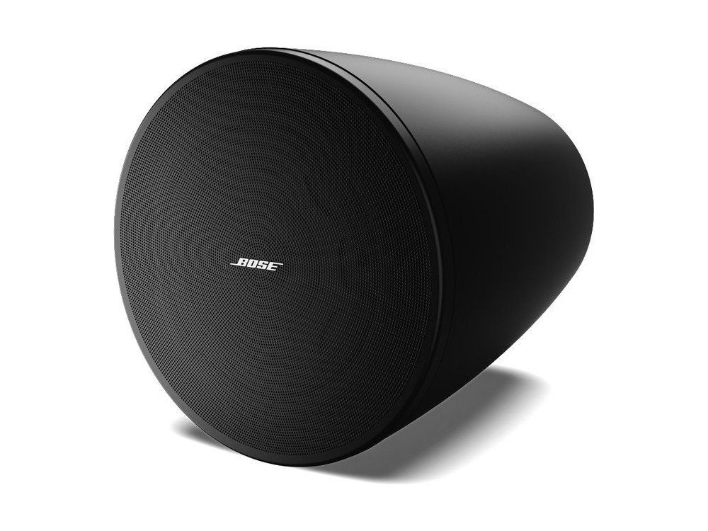 Bose Professional Bose DesignMax DM6PE Loudspeakers (Pair)