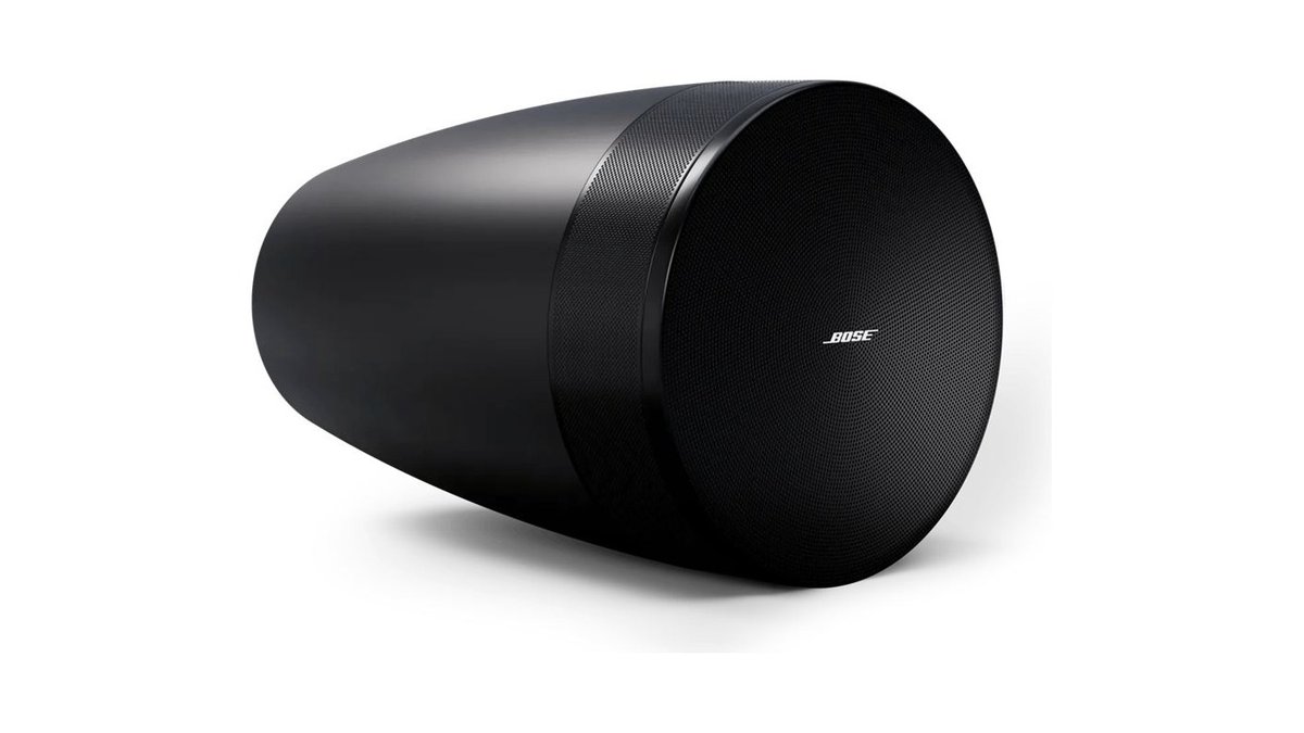 Bose Professional Bose DesignMax Luna DML88P Loudspeaker - view 5