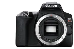 Canon EOS Rebel SL3 Body