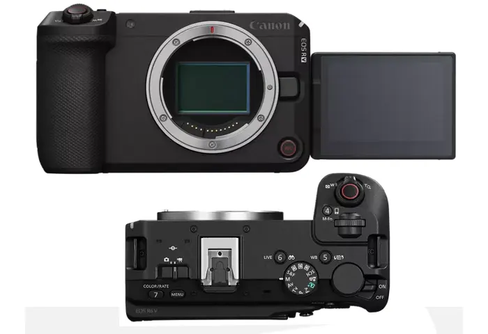 Canon EOS R6V