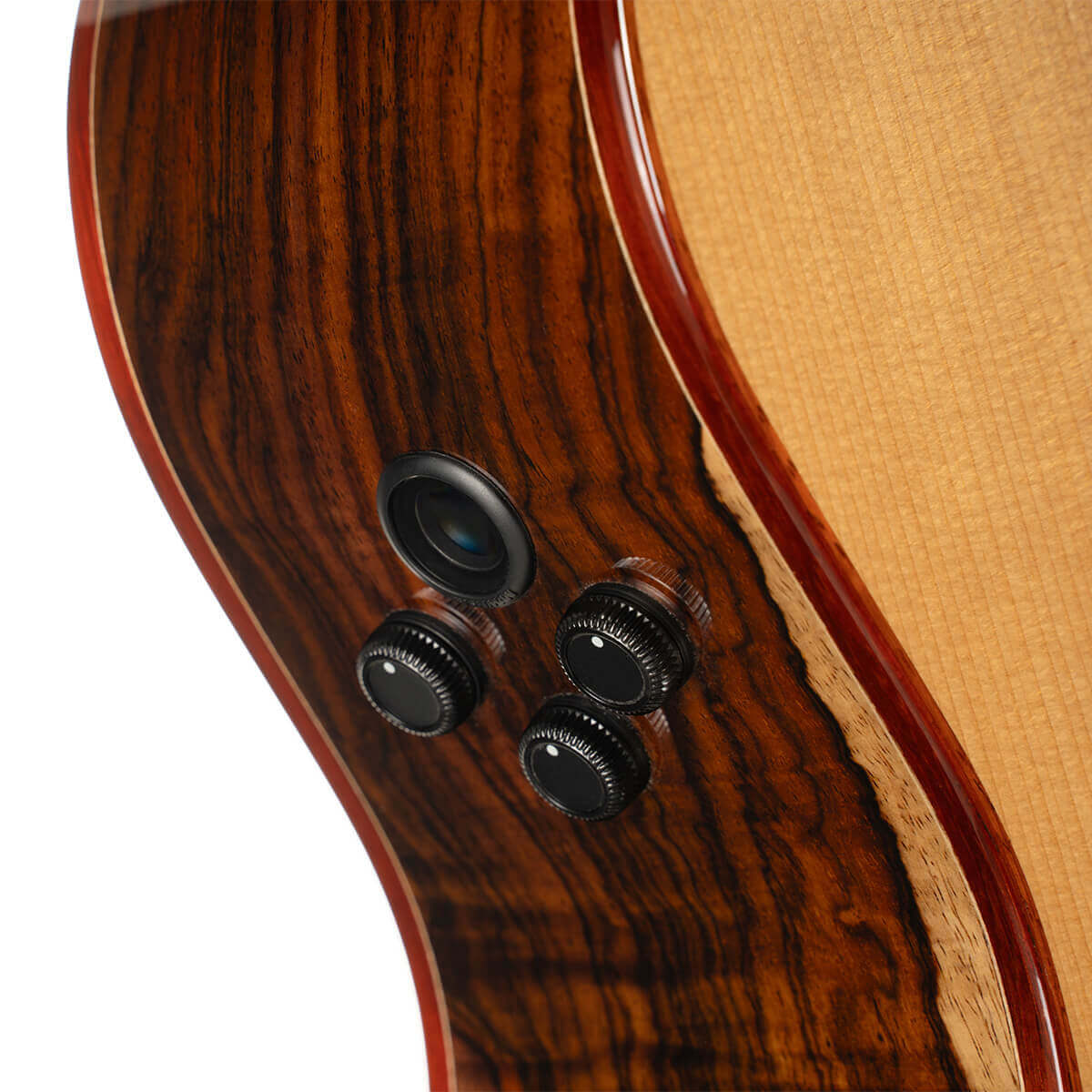 Cort Gold-A10 Cocobolo Acoustic Guitar - view 6