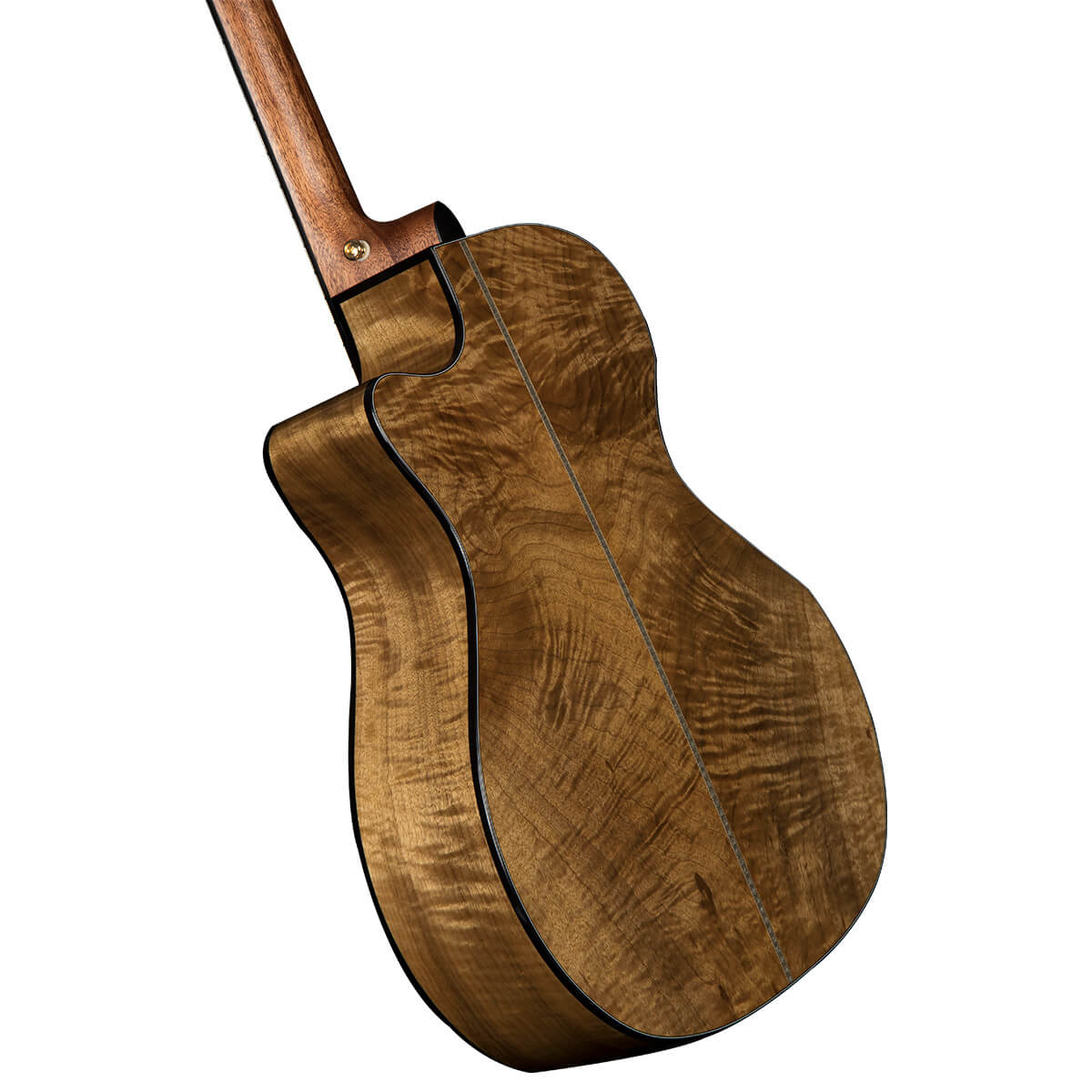 Cort Gold-Edge Acoustic Guitar - view 4
