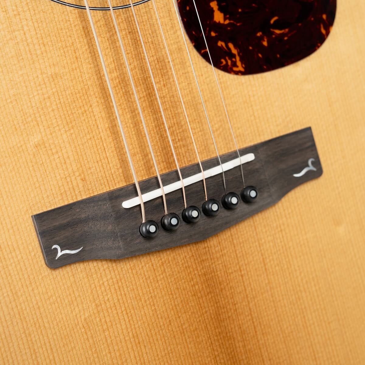 Cort Gold-MC6 Ovangkol Acoustic Guitar - view 6