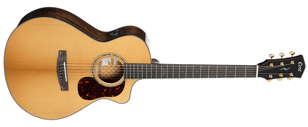 Cort Gold-MC6 Ovangkol Acoustic Guitar