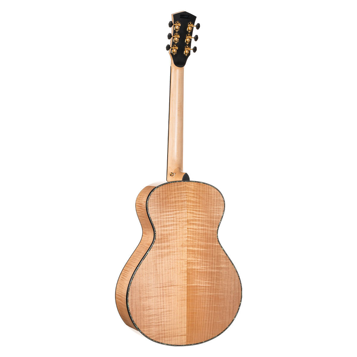 Cort Gold-Passion Acoustic Guitar - view 3