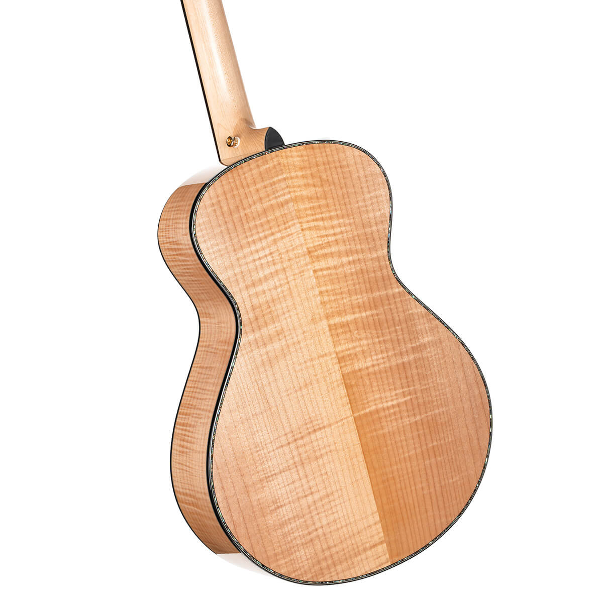 Cort Gold-Passion Acoustic Guitar - view 5
