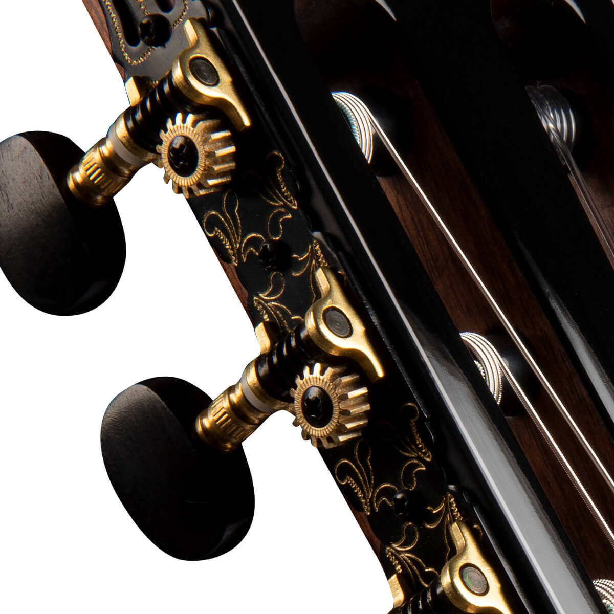 Cort Guitars Cort Sol Encanto Acoustic Guitar - view 4