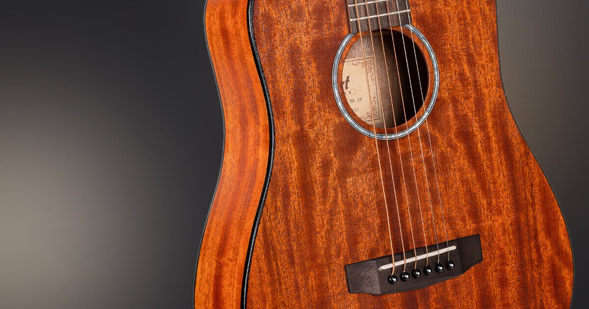 Cort Guitars Cort Standard AD Mini M Acoustic Guitar