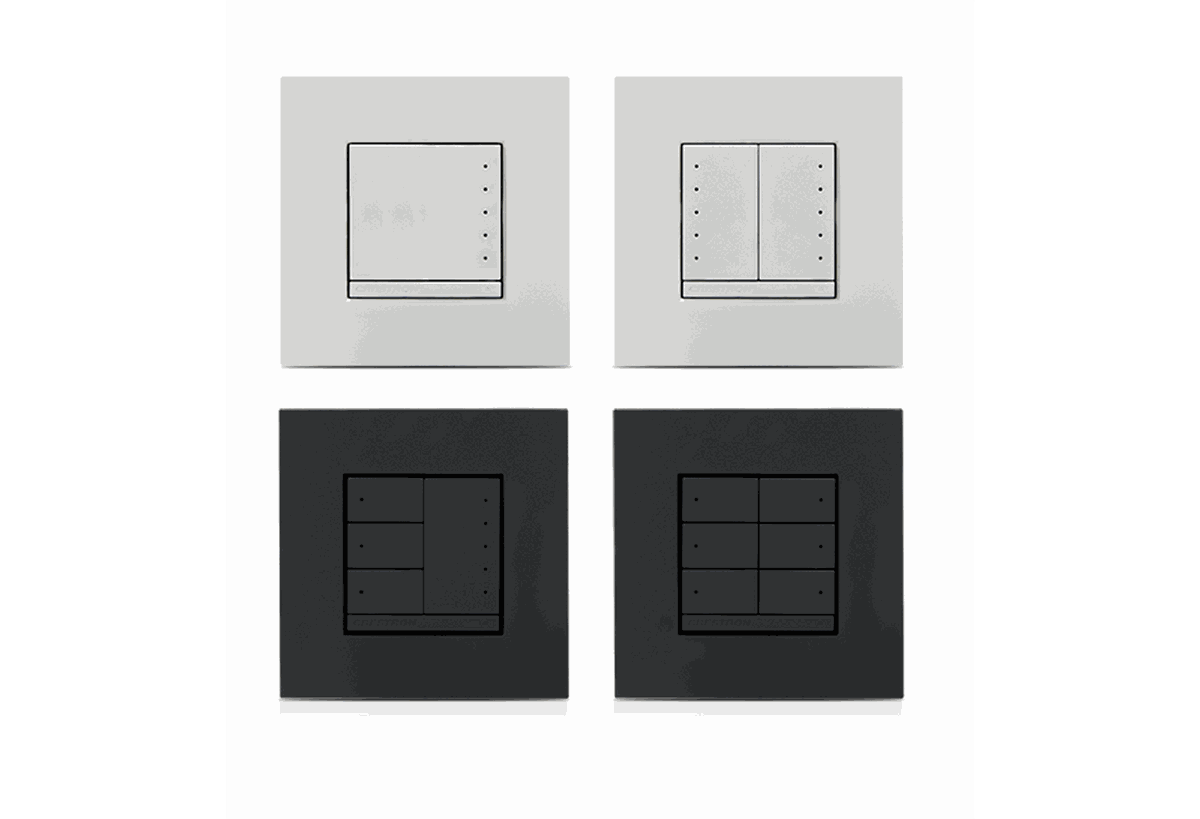 Crestron CLWI-1SW2EX In-Wall 2-Channel Switch, 230VAC