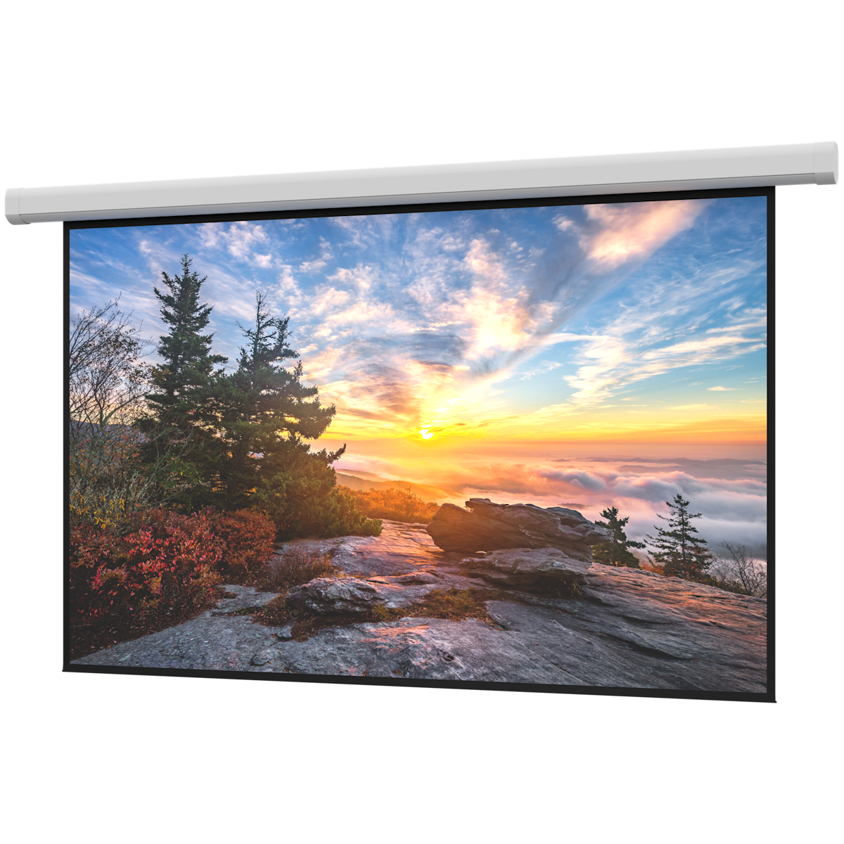 Myriad Reveal Series Electric Projection Screen Wide (16:10), Matte White (non-tensioned)
