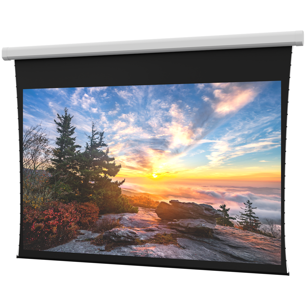 Myriad Reveal Series Electric Projection Screen Wide (16:10), Parallax Stratos 1.0